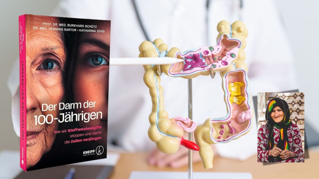 Der Darm der 100jährigen