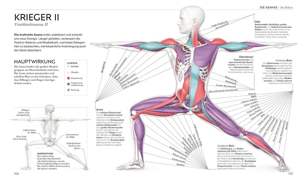 der krieger yoga verstehen buch s106